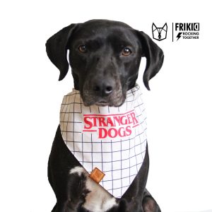 BANDANAS  DOBLE  FAZ