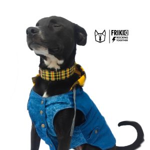 CHALECO DENIM REBELDOG