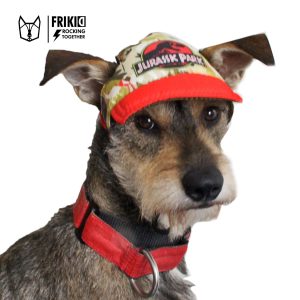GORRA FRIKID