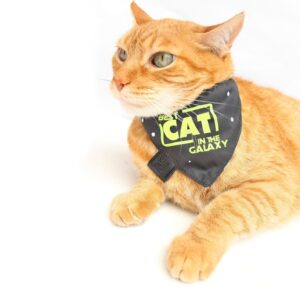 Pañoleta doble faz gato