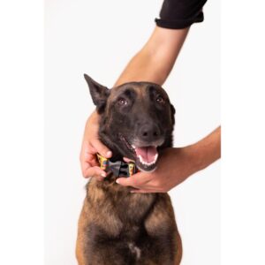 COLLAR  DE  BROCHE  FRIKID